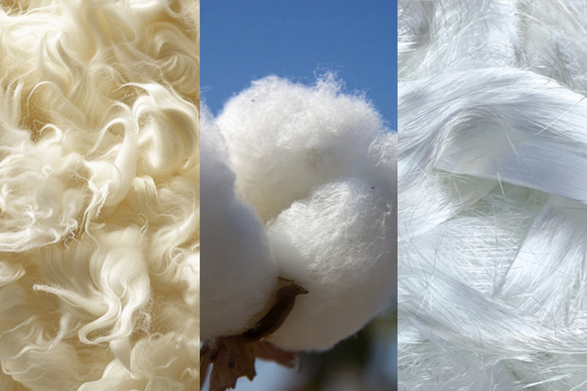 Битката на материите: Мерино срещу памук и синтетика 